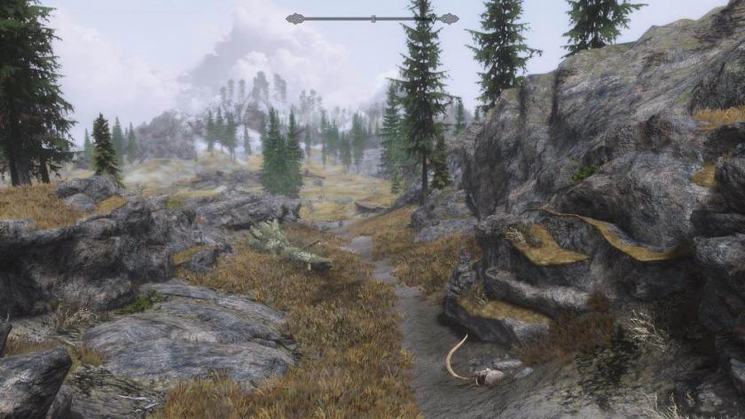 上古卷轴5:天际